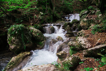 Fototapeta na wymiar Clear waterfall in green forest, beautiful nature landscape