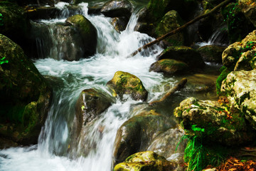 Fototapeta premium Clear waterfall in green forest, beautiful nature landscape