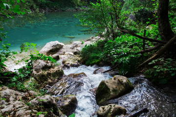 Naklejka na ściany i meble Clear waterfall in green forest, beautiful nature landscape