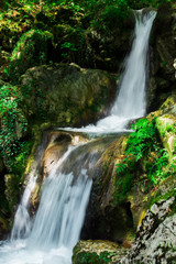 Clear waterfall in green forest, beautiful nature landscape