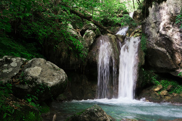 Fototapeta premium Clear waterfall in green forest, beautiful nature landscape