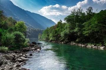 Fototapeten Bergklarer Fluss und grüner Wald, Naturlandschaft © Ivan Kurmyshov