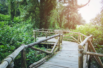 Old wooden walkway in forest with sunlight at Chiang mai Thailand.