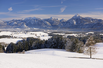 Fototapeta na wymiar Panorama Winterlandschaft im Allgäu in Bayern