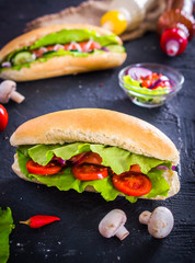 Two hot dog on a dark background