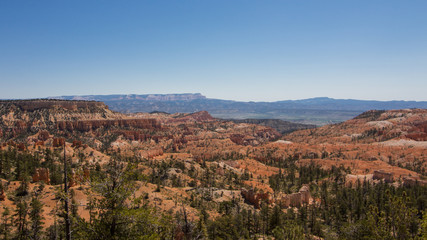 Fototapeta na wymiar Bryce canyon National Park