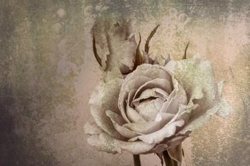 flower design  black Vintage beautiful flowers made with color f