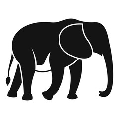 Wild elephant icon. Simple illustration of wild elephant vector icon for web