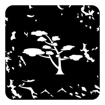 Cedar tree icon. Grunge illustration of cedar tree vector icon for web design