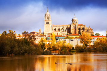  Salamanca Cathedral in autumn. Spain