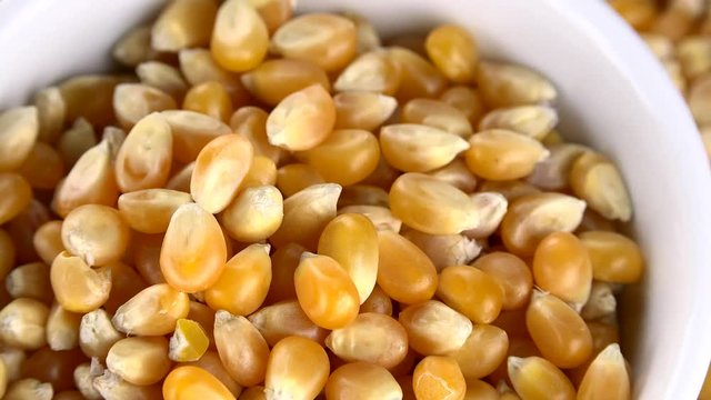 Dried Corn as detailed 4K UHD footage (seamless loopable)