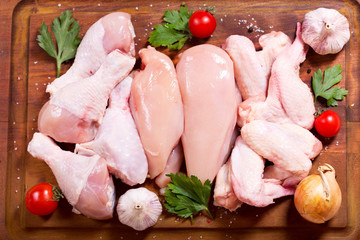 fresh chicken meat © Nitr