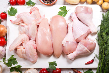 fresh chicken meat