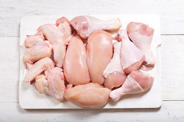 fresh chicken meat