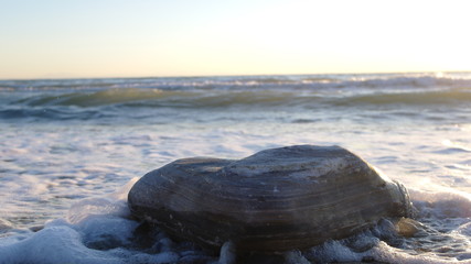 The sun rises from the waves