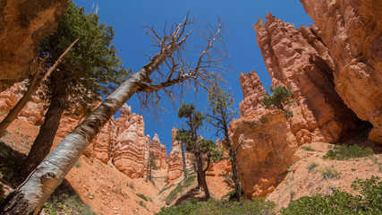 Bryce canyon National Park