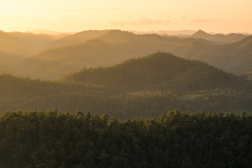 Hill forest landscape background