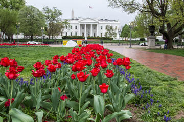 Washington - Virginia USA