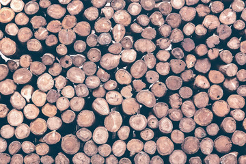 Stack of logs