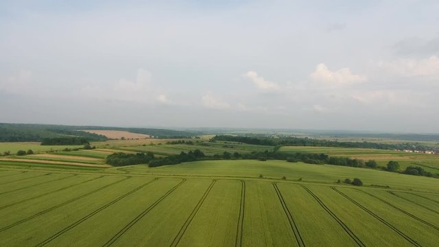 4K aerial footage of a car riding on a road between green fields in the sun set.