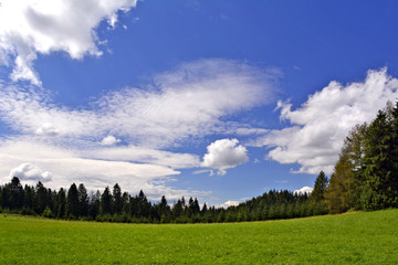 Green grassy hill with clouds in sky