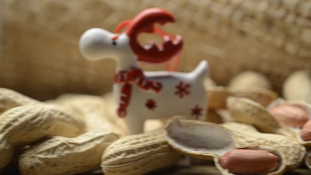&alpha;&rho;&alpha;&chi;ί&delta;&alpha; भुईमूग મગફળી Calacavisi Chuqupa Araxis Arachide Peanut Podzemnice olejn&aacute; Groundnut Cacahuate Goober Man&iacute; Erdnuss F&ouml;ldimogyor&oacute; Orzacha podziemna Arachis hypogaea 
