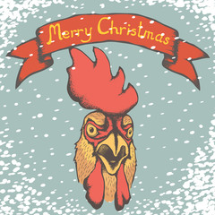 Rooster vector illustration