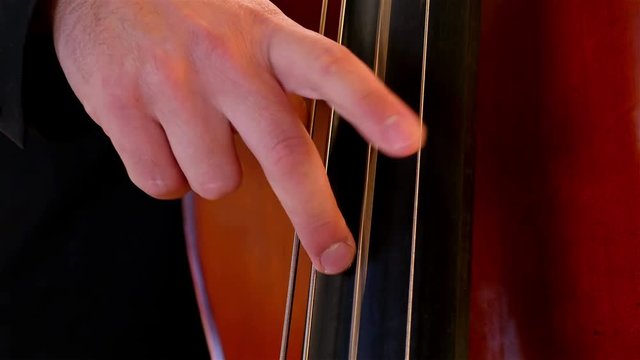 Detail shot of a musician playing on a contrabass
