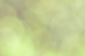 Natural Bokeh,blurred bokeh.