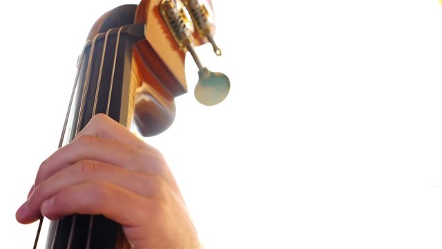Detail shot of a musician playing on a contrabass