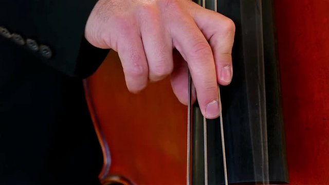 Detail shot of a musician playing on a contrabass