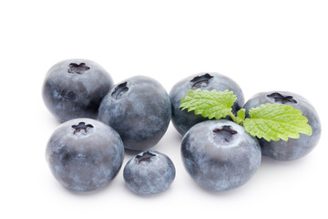 Close up of a blueberry branch isolated over white.