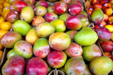 Selective foreground focus. Mangoes in bin at open air market. Horizontal.