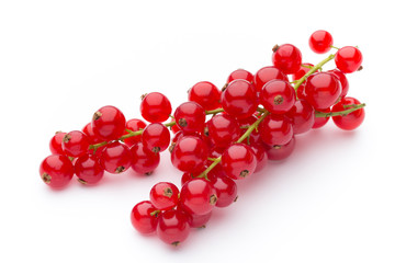 Red Currant close up isolated on white.