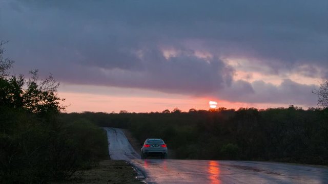 Early Morning in Kruger National Park South Africa at Sunrise with Vehicle Driving on a Paved Road going on a Wildlife Sightseeing Safari