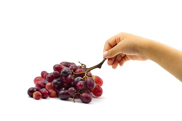 Children's hand picked the bunch of small red grapes isolate on