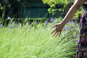 Grass in hand