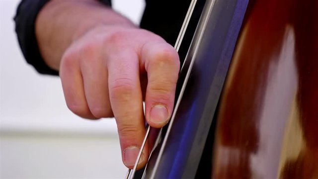 Detail shot of a musician playing on a contrabass