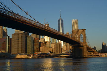 Fototapeta na wymiar Freedom tower with Brooklyn bridge