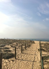 Fototapeta premium landscape of Portugal cost eith ocean on background