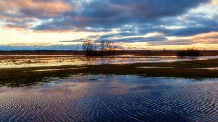Narwiański Park Naroowy © podlaski49