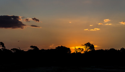 Silhouettes of trees in at sunset at the forest skyline with some clouds red orange colours