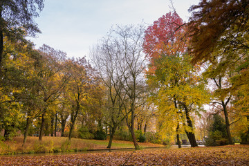 Naklejka premium Golden autumn in Minnewater park in Bruges, Belgium