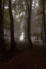 Thüringer Wald /Rennsteig 