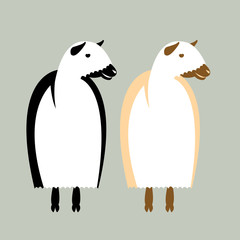 Sheep Flat style vector illustration set