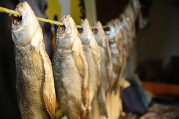 Fish to beer