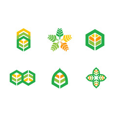 Obraz premium set of vector logo green leaf 