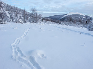 Fototapeta na wymiar Bieszczadzki Park Narodowy zimą, droga w kierunku Połoniny Caryńskiej