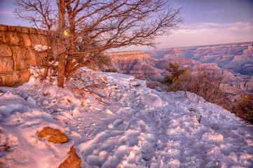 Moonset behind a tree while the sun rises in Grand Canyon National Park Arizona after winter snow...