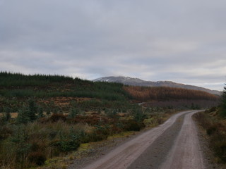 Hiking in Scotland